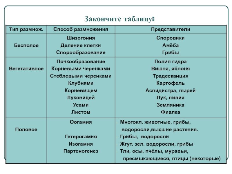 Мега ссылки телеграмм